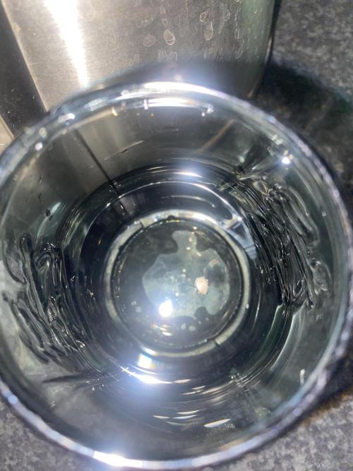 Mentha De Croco - TerpyZ. Mutant. Week 0