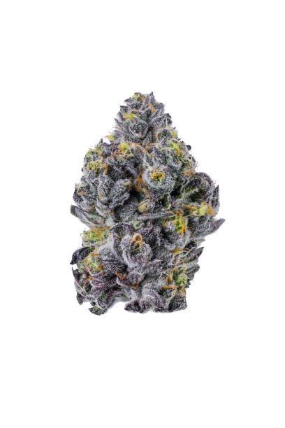 Sticky Wasabi Triploid  Growers Choice. Week 0 - 1 weed in water. right on!