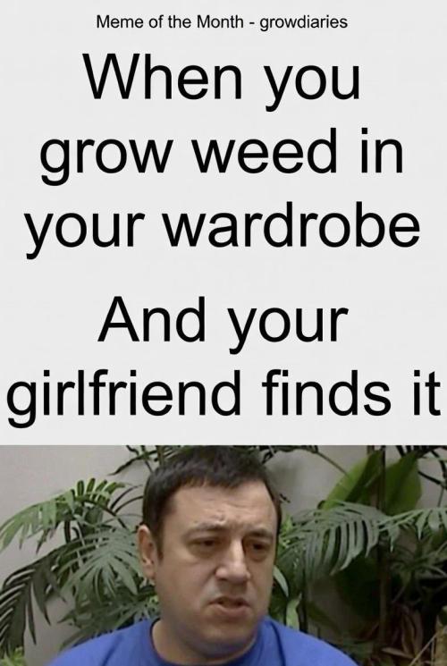 World of Seeds - Mazar Kush door Diips