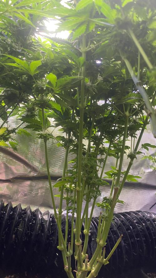 Tom Hills - Deep Chunk - reg photo. Week 13 - day 49 5/5/2026