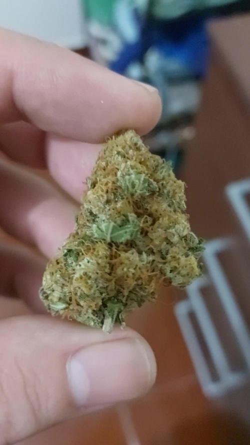 Granny's Home and Skunk