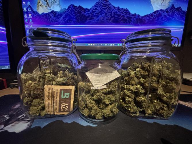 #14 - Barney's LSD Feminsed. Week 16 - 89g