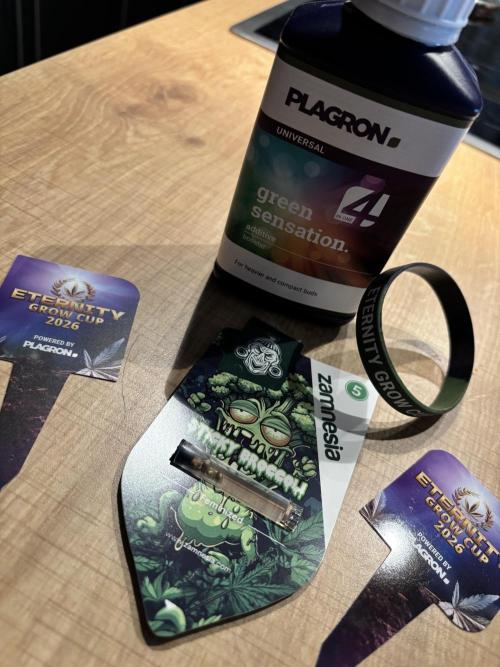 #16 - Sticky Broccoli: Eternity Cup 2026. Week 0