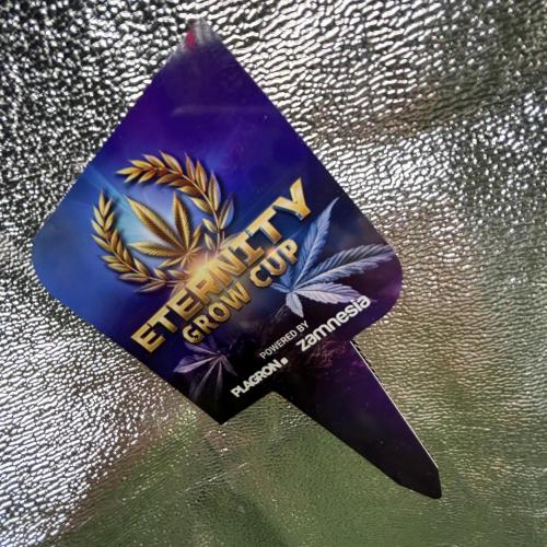#16 - Sticky Broccoli: Eternity Cup 2026. Week 10