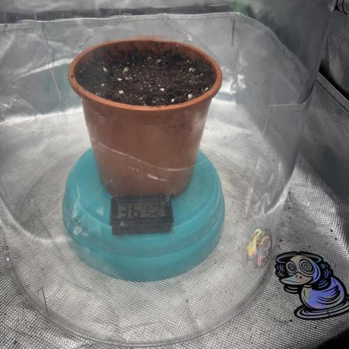 #18 - [Auto] F1 Hyperion - RQS. Week 0 - 25/04