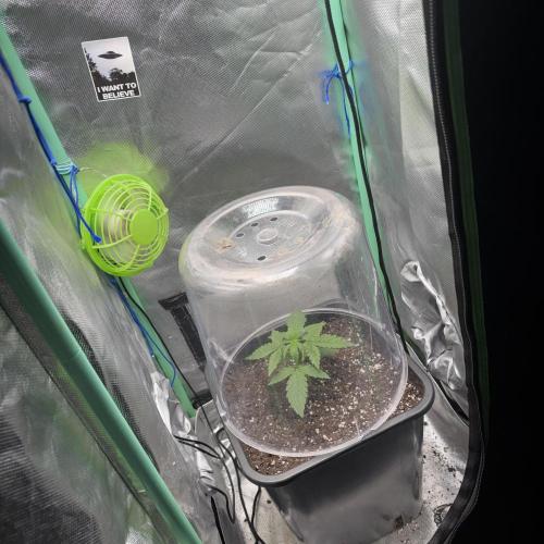Hyperion F1. Week 2