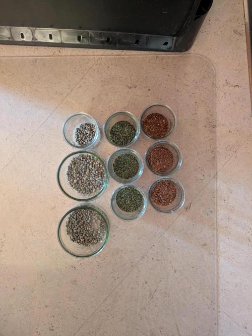 Indoor Photoperiod Run #4 (2025). Week 13