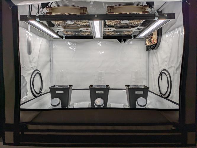 Indoor Photoperiod Run #5 (2025/2026). Week 0