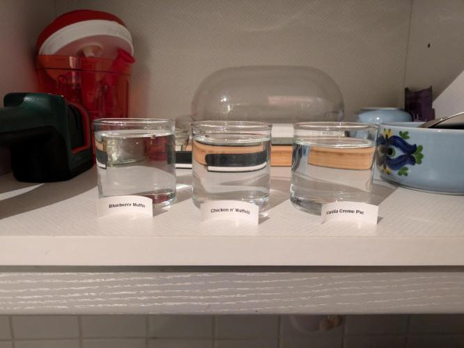 Indoor Photoperiod Run #5 (2025/2026). Week 0