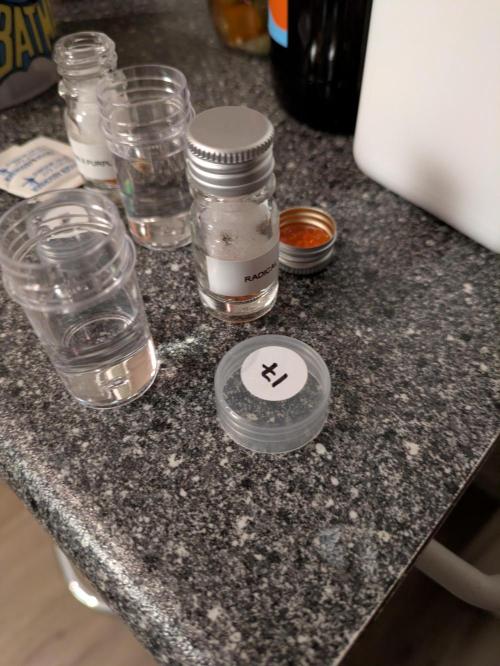 Indoor Photoperiod Run #6 (2025/2026). Week 0