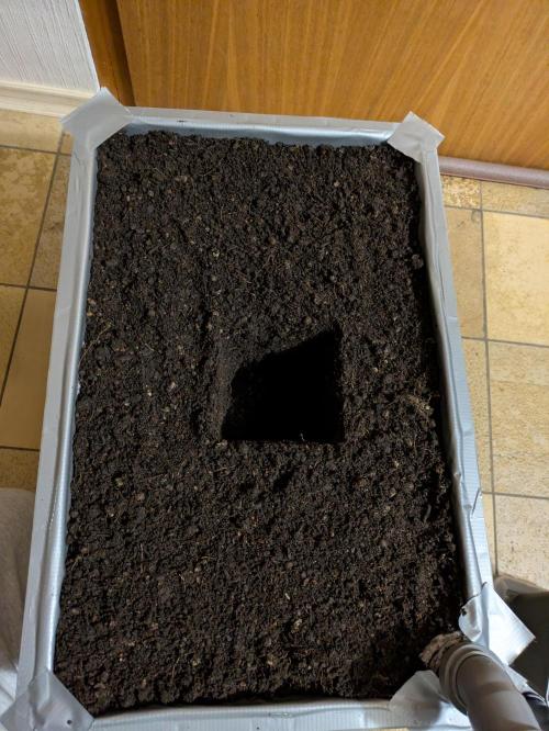 The Tropical Ice Cream One - F026. Week 4
