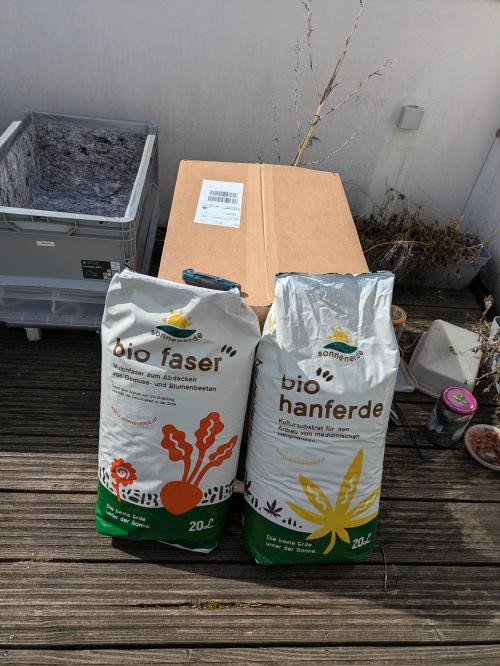 Roof terrace 2026. Week 4