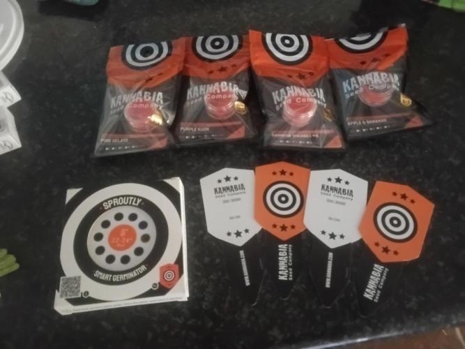 Maçã e banana. Week 1