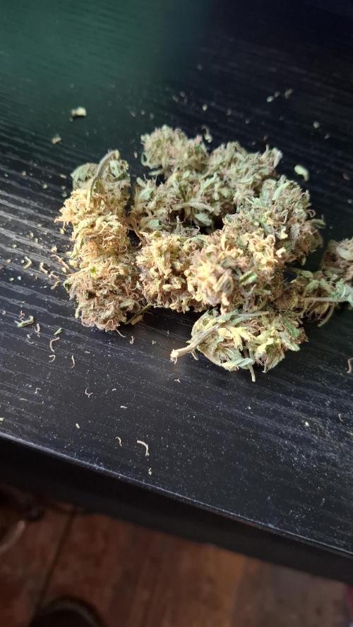 Outdoor Germany Northern Lights, etc.. Week 26