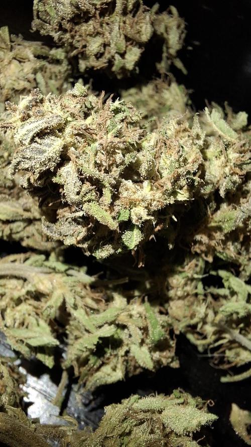 Outdoor Germany Northern Lights, etc.. Week 26