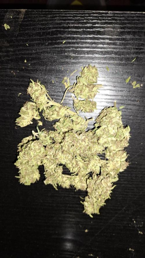 Outdoor Germany Northern Lights, etc.. Week 26