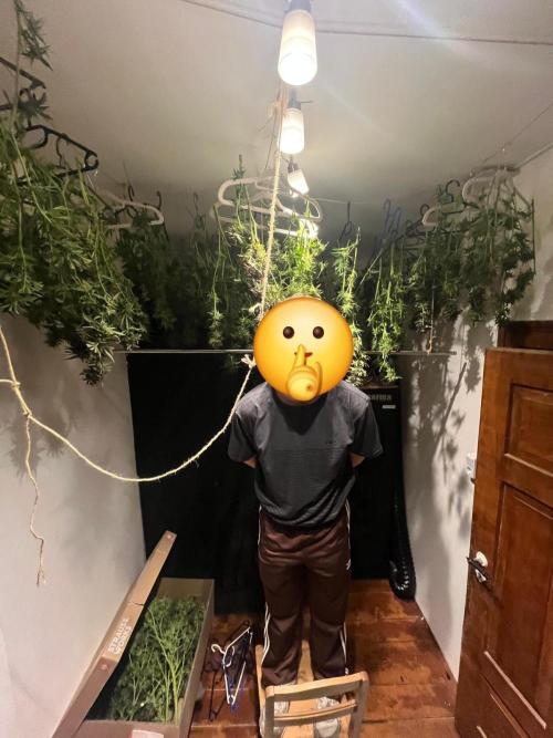 Outdoor Germany Northern Lights, etc.. Week 26