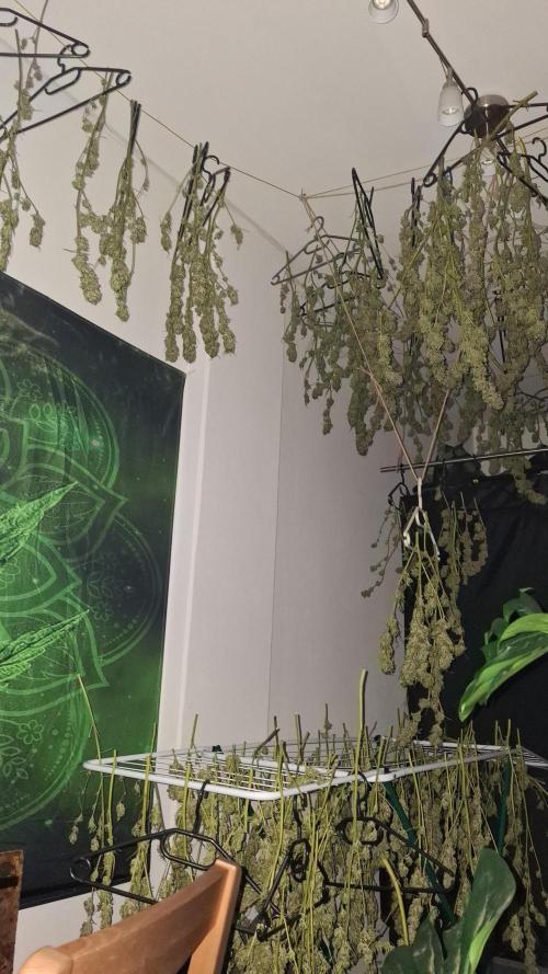 Outdoor Germany Northern Lights, etc.. Week 26