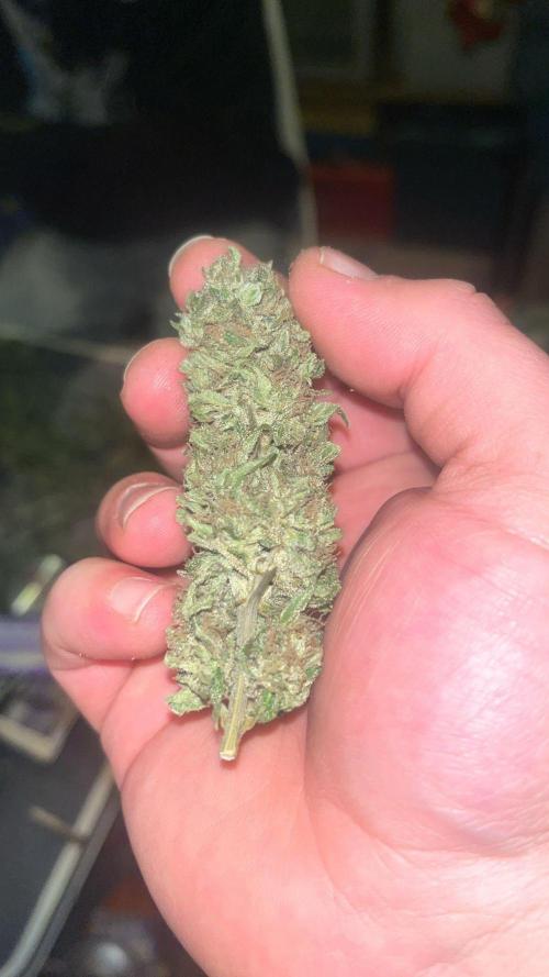 Outdoor Germany Northern Lights, etc.. Week 26