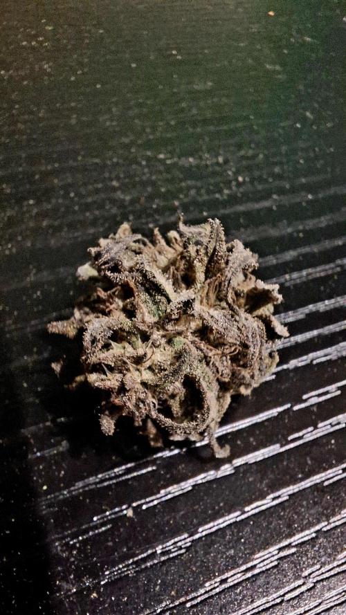 Outdoor Germany Northern Lights, etc.. Week 26