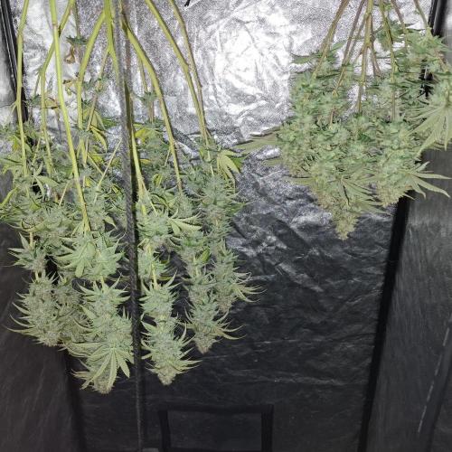 Outdoor Germany Northern Lights, etc.. Week 26