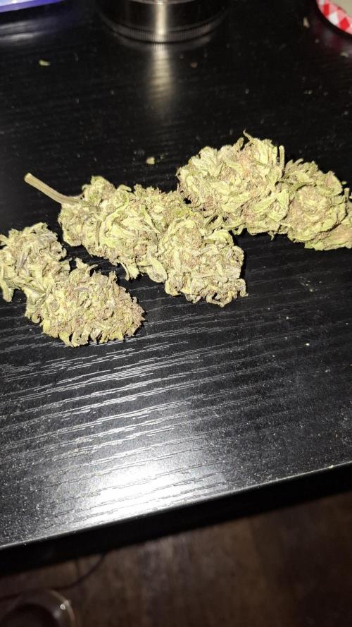 Outdoor Germany Northern Lights, etc.. Week 26