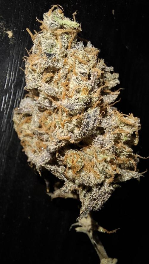 Outdoor Germany Northern Lights, etc.. Week 26