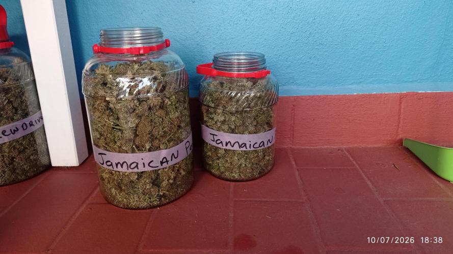 The Beast has risen #2. Week 25 - 8l and 5 l jars