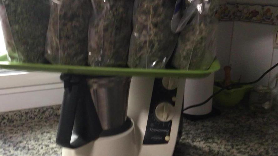 The beast have risen