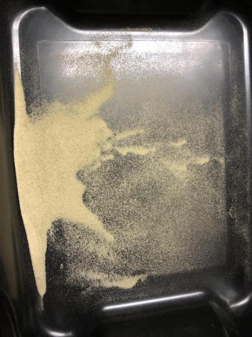 Gorilla Melon Fast Buds Indoor Fall. Week 18