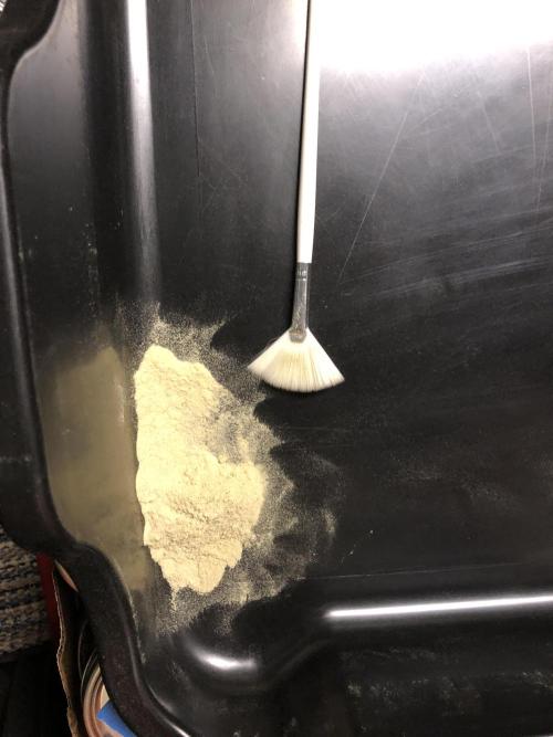 Gorilla Melon Fast Buds Indoor Fall. Week 18