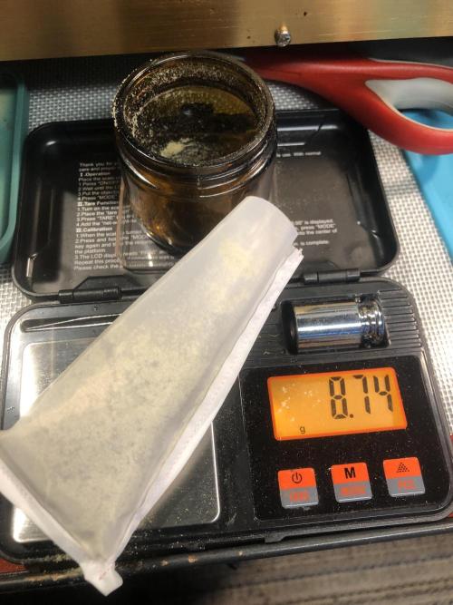 Gorilla Melon Fast Buds Indoor Fall. Week 18