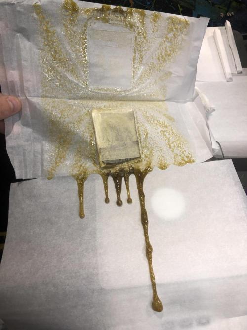 Gorilla Melon Fast Buds Indoor Fall. Week 18