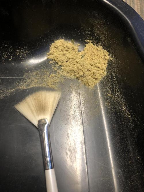 Euphoria Divine Seeds Indoor Fall. Week 18