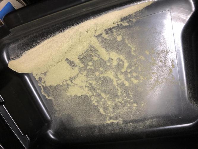 Purple Punch 00 Indoor Scrog Fall. Week 18