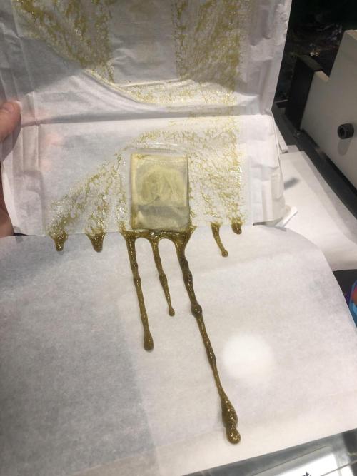 Purple Punch 00 Indoor Scrog Fall. Week 18