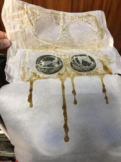 Purple Punch 00 Indoor Scrog Fall. Week 18