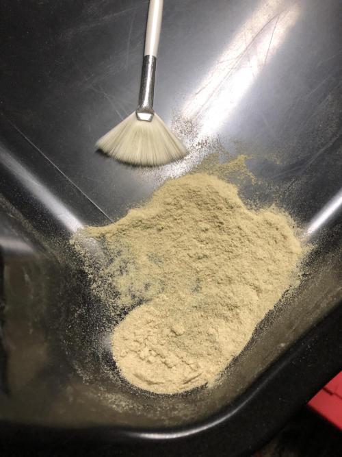 Witches Wedding Seedman Indoor Fall. Week 18