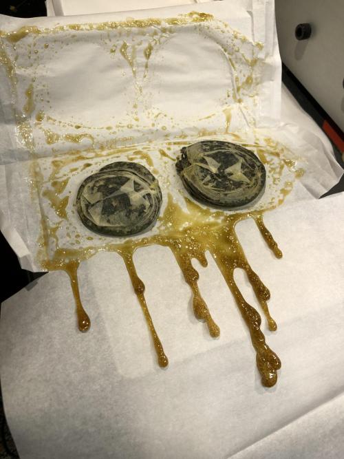 Witches Wedding Seedman Indoor Fall. Week 18