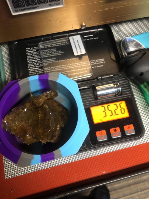 Purple Punch 00 Indoor Scrog Fall. Week 18