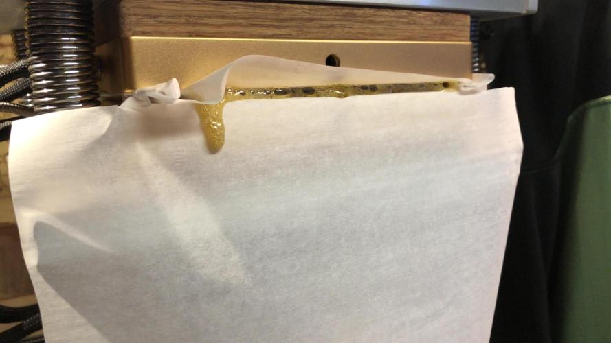 Witches Wedding Seedman Indoor Fall