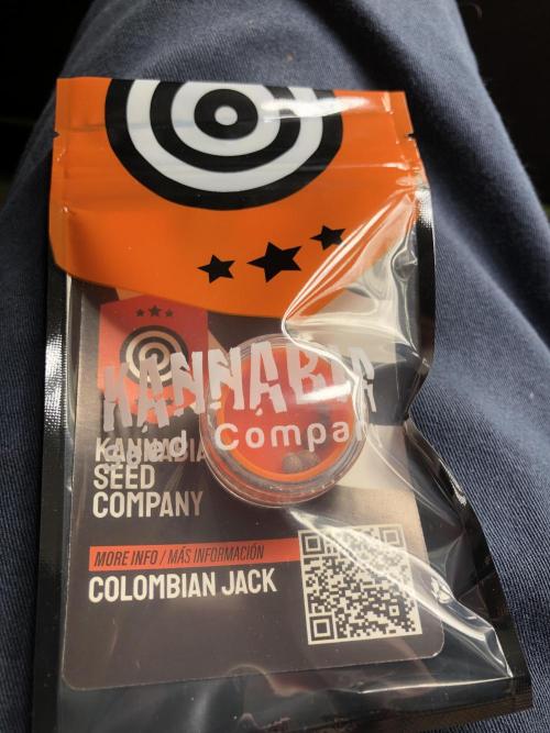 Colombian Jack Kannabia Indoor Spring 26. Week 0