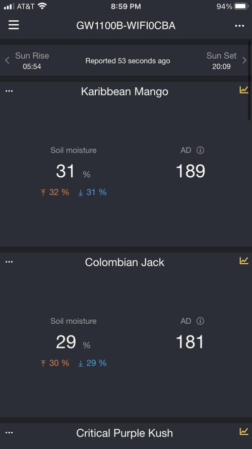 Colombian Jack Kannabia Indoor Spring 26. Week 2
