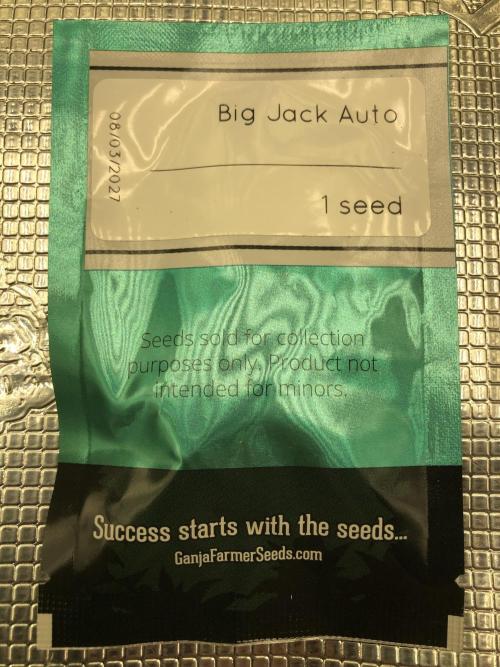 Big Jack Auto Outdoor Spring 26'. Week 0