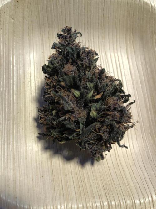 LSD-25 Auto Fast Buds Indoor Spring 26. Week 10