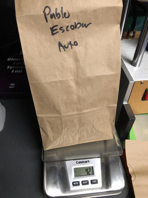 Auto Pablo Escobar Indoor Spring 26. Week 10