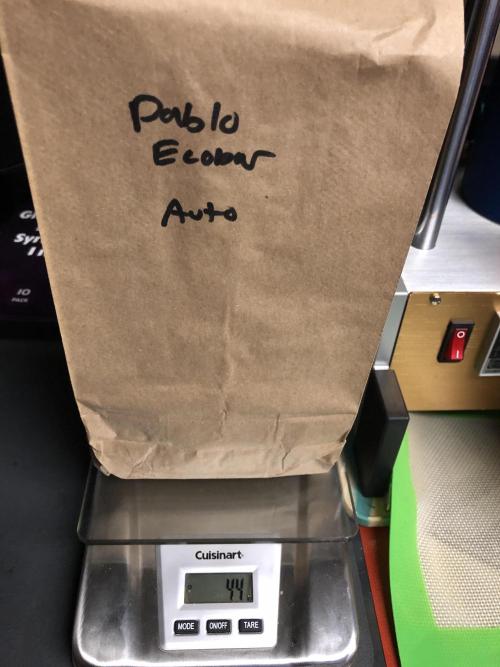 Auto Pablo Escobar Indoor Spring 26. Week 10