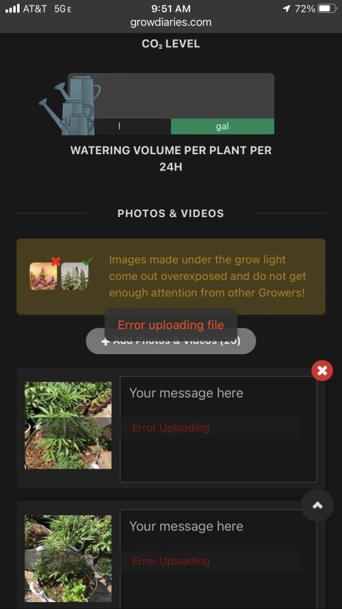 MindFlowers68