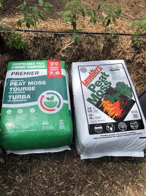 Soil Mixes. Week 0