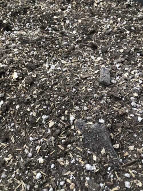 Soil Mixes. Week 0